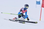 FIS Baltic Cup 2018 3. posms, jauniešu un meistaru SG, Foto: Emīls Lukšo