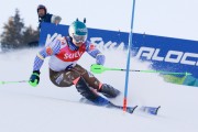 FIS Baltijas kauss Pozza di Fassa, FIS Lietuvas čempionāts SL, Foto: E.Lukšo