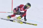 FIS Baltic Cup 2018 3. posms, jauniešu un meistaru SG, Foto: Emīls Lukšo