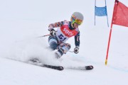 FIS Baltic Cup 2018 3. posms, jauniešu un meistaru SG, Foto: Emīls Lukšo