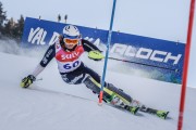 FIS Baltijas kauss Pozza di Fassa, FIS Lietuvas čempionāts SL, Foto: E.Lukšo