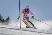 FIS Baltijas kauss Pozza di Fassa, FIS Lietuvas čempionāts SL, Foto: E.Lukšo