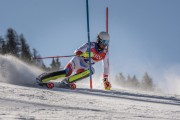 FIS Baltijas kauss Pozza di Fassa, FIS Lietuvas čempionāts SL, Foto: E.Lukšo