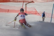 FIS Baltijas kauss Pozza di Fassa, FIS Lietuvas čempionāts SL, Foto: E.Lukšo