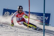 FIS Baltijas kauss Pozza di Fassa, FIS Lietuvas čempionāts SL, Foto: E.Lukšo