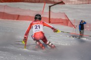 FIS Baltijas kauss Pozza di Fassa, FIS Lietuvas čempionāts SL, Foto: E.Lukšo