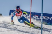 FIS Baltijas kauss Pozza di Fassa, FIS Lietuvas čempionāts SL, Foto: E.Lukšo