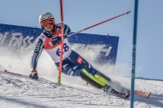 FIS Baltijas kauss Pozza di Fassa, FIS Lietuvas čempionāts SL, Foto: E.Lukšo