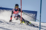 FIS Baltijas kauss Pozza di Fassa, FIS Lietuvas čempionāts SL, Foto: E.Lukšo