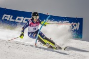 FIS Baltijas kauss Pozza di Fassa, FIS Lietuvas čempionāts SL, Foto: E.Lukšo