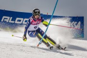 FIS Baltijas kauss Pozza di Fassa, FIS Lietuvas čempionāts SL, Foto: E.Lukšo