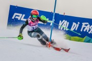 FIS Baltijas kauss Pozza di Fassa, FIS Lietuvas čempionāts SL, Foto: E.Lukšo