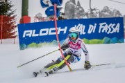 FIS Baltijas kauss Pozza di Fassa, FIS Lietuvas čempionāts SL, Foto: E.Lukšo