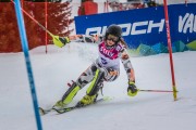 FIS Baltijas kauss Pozza di Fassa, FIS Lietuvas čempionāts SL, Foto: E.Lukšo