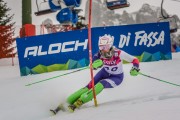 FIS Baltijas kauss Pozza di Fassa, FIS Lietuvas čempionāts SL, Foto: E.Lukšo