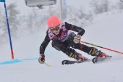 FIS Baltic Cup 2018 3. posms, jauniešu un meistaru SG, Foto: Emīls Lukšo