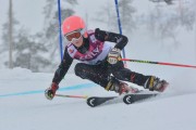 FIS Baltic Cup 2018 3. posms, jauniešu un meistaru SG, Foto: Emīls Lukšo