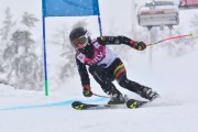 FIS Baltic Cup 2018 3. posms, jauniešu un meistaru SG, Foto: Emīls Lukšo