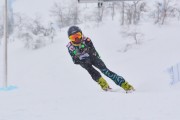 FIS Baltic Cup 2018 3. posms, jauniešu un meistaru SG, Foto: Emīls Lukšo