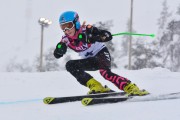 FIS Baltic Cup 2018 3. posms, jauniešu un meistaru SG, Foto: Emīls Lukšo