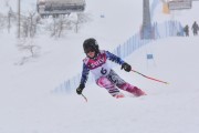 FIS Baltic Cup 2018 3. posms, jauniešu un meistaru SG, Foto: Emīls Lukšo