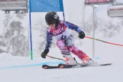 FIS Baltic Cup 2018 3. posms, jauniešu un meistaru SG, Foto: Emīls Lukšo