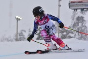 FIS Baltic Cup 2018 3. posms, jauniešu un meistaru SG, Foto: Emīls Lukšo