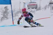 FIS Baltic Cup 2018 3. posms, jauniešu un meistaru SG, Foto: Emīls Lukšo