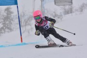 FIS Baltic Cup 2018 3. posms, jauniešu un meistaru SG, Foto: Emīls Lukšo