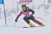 FIS Baltic Cup 2018 3. posms, jauniešu un meistaru SG, Foto: Emīls Lukšo