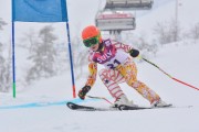 FIS Baltic Cup 2018 3. posms, jauniešu un meistaru SG, Foto: Emīls Lukšo