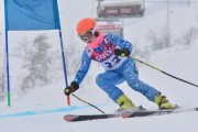 FIS Baltic Cup 2018 3. posms, jauniešu un meistaru SG, Foto: Emīls Lukšo