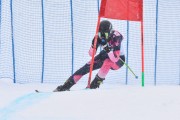 FIS Baltic Cup 2018 3. posms, jauniešu un meistaru SG, Foto: Emīls Lukšo