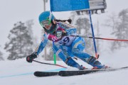 FIS Baltic Cup 2018 3. posms, jauniešu un meistaru SG, Foto: Emīls Lukšo