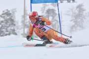 FIS Baltic Cup 2018 3. posms, jauniešu un meistaru SG, Foto: Emīls Lukšo