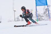 FIS Baltic Cup 2018 3. posms, jauniešu un meistaru SG, Foto: Emīls Lukšo