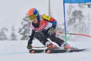 FIS Baltic Cup 2018 3. posms, jauniešu un meistaru SG, Foto: Emīls Lukšo