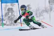 FIS Baltic Cup 2018 3. posms, jauniešu un meistaru SG, Foto: Emīls Lukšo