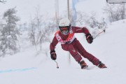 FIS Baltic Cup 2018 3. posms, jauniešu un meistaru SG, Foto: Emīls Lukšo