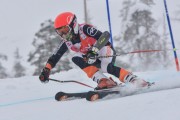 FIS Baltic Cup 2018 3. posms, jauniešu un meistaru SG, Foto: Emīls Lukšo