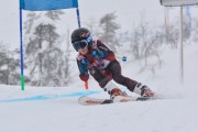 FIS Baltic Cup 2018 3. posms, jauniešu un meistaru SG, Foto: Emīls Lukšo