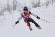 FIS Baltic Cup 2018 3. posms, jauniešu un meistaru SG, Foto: Emīls Lukšo