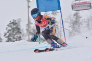 FIS Baltic Cup 2018 3. posms, jauniešu un meistaru SG, Foto: Emīls Lukšo