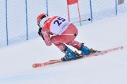 FIS Baltic Cup 2018 3. posms, jauniešu un meistaru SG, Foto: Emīls Lukšo