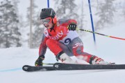 FIS Baltic Cup 2018 3. posms, jauniešu un meistaru SG, Foto: Emīls Lukšo