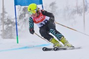 FIS Baltic Cup 2018 3. posms, jauniešu un meistaru SG, Foto: Emīls Lukšo