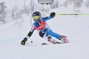 FIS Baltic Cup 2018 3. posms, jauniešu un meistaru SG, Foto: Emīls Lukšo