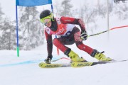 FIS Baltic Cup 2018 3. posms, jauniešu un meistaru SG, Foto: Emīls Lukšo