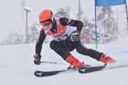 FIS Baltic Cup 2018 3. posms, jauniešu un meistaru SG, Foto: Emīls Lukšo