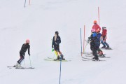 FIS Baltic Cup 2018 3. posms, jauniešu un meistaru AC slaloms, Foto: Emīls Lukšo